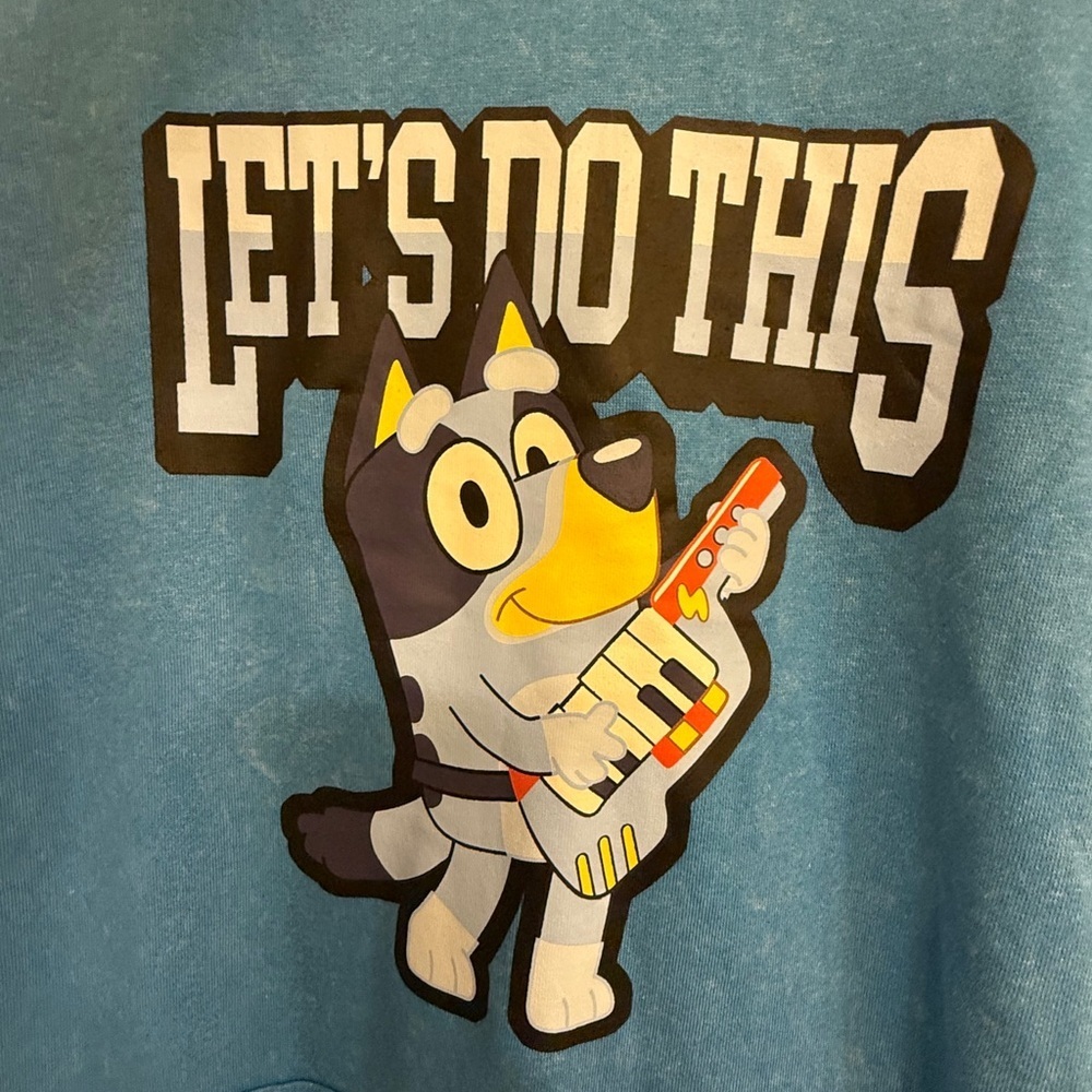 Let’s Do This- Men L Graphic Hoodie Sweatshirt Bluey & Friends Cartoon Print New